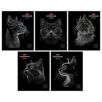 Тетрадь А5, 48 л., HATBER, скоба, клетка, матовая ламинация, 3D-лак, "Black Cat" (микс в спайке), 093159, 48Т5лолВ1