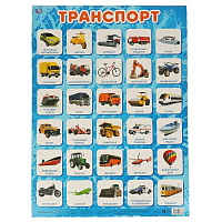 Транспорт. Плакат А2. Умка