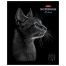 Тетрадь А5, 48 л., HATBER, скоба, клетка, матовая ламинация, 3D-лак, "Black