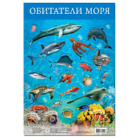 Арт.3410 Плакат. Обитатели моря