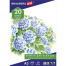 Папка для рисования БОЛЬШОГО ФОРМАТА А3, 20 л., 200 г/м2, BRAUBERG, 297х420 мм,