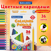 Карандаши цветные пластиковые BRAUBERG PREMIUM, 36 цветов, трехгранные, грифель мягкий 3 мм, 181664