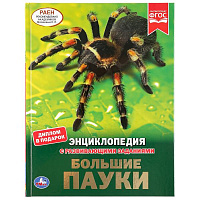 Большие пауки. (Энциклопедия А4 с развивающими заданиями). 197х255мм. 48 стр. Умка