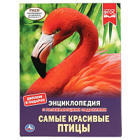 Самые красивые птицы. (Энциклопедия А4 с развивающими заданиями). 197х255мм. 48 стр. Умка