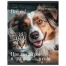 Тетрадь А5 48 л. STAFF "College", скоба, клетка, офсет №2 ЭКОНОМ,