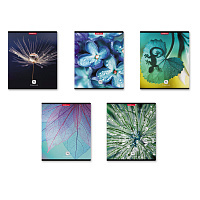 Тетрадь общая ученическая ErichKrause® Макромир, 96 листов, клетка, глянцевая ламинация MIX-PACK