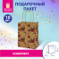 Пакет подарочный КОМПЛЕКТ 10 штук, новогодний 18x10x23 см, "Письмо Деду