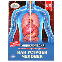 Как устроен человек. Энциклопедия А4 с развивающими заданиями. 197х255мм, 48 стр. Умка