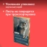 Бумага для пастели АБРАЗИВНАЯ А4 в коробке, 40 листов, 10 цветов, 240 г/м2,