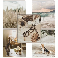 Тетради ДЭК А5 48 л. КОМПЛЕКТ 5 шт. BRAUBERG, скоба, клетка, SoftTouch, "ESTHETICS", 404929