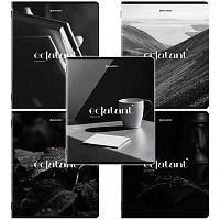 Тетради ДЭК А5 48 л. КОМПЛЕКТ 5 шт. BRAUBERG, скоба, клетка, глянцевый лак, "ELEGANT", 404918