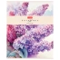 Тетрадь А5, 48 л., HATBER, скоба, клетка, Soft-touch ламинация,