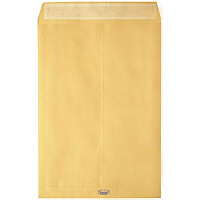 Пакет Крафт B4стрип Largepack250х353х40 120г 200шт/уп/6306 штр.  4607025736950