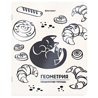 Тетрадь предметная КОТ-НЕПОСЕДА 48 л., пластиковая обложка, ГЕОМЕТРИЯ, клетка, подсказ, BRAUBERG, 405532
