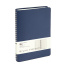 ЕЖЕДНЕВНИК НЕДАТИРОВАННЫЙ А5 "ALBA" (СИНИЙ)