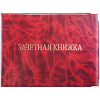 Обложка для зачетной книжки ПВХ глянцевая: Cd-ZK-1_779