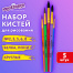 Кисти ПОНИ, БЕЛКА набор 5 штук (пони круглые 2, 3, 5 белка круглые 6, 8)