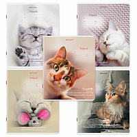 Тетради ДЭК 18 л. КОМПЛЕКТ 10 шт., BRAUBERG, клетка, обложка картон, Котики, 106757