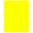 Папка на 2 кольцах BRAUBERG "Neon", 25 мм, внутренний карман,