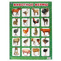 Животные фермы. Плакат А2. Умка