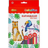 Карандаши цветные 36 цв 6-гран №1 School ColorPics в наборе