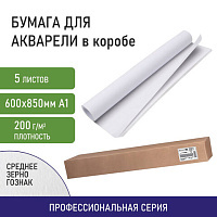 Бумага для акварели А1 (600х850 мм), КОМПЛЕКТ 5 листов, среднее зерно, 200 г/м2, ГОЗНАК, BRAUBERG ART, 114488